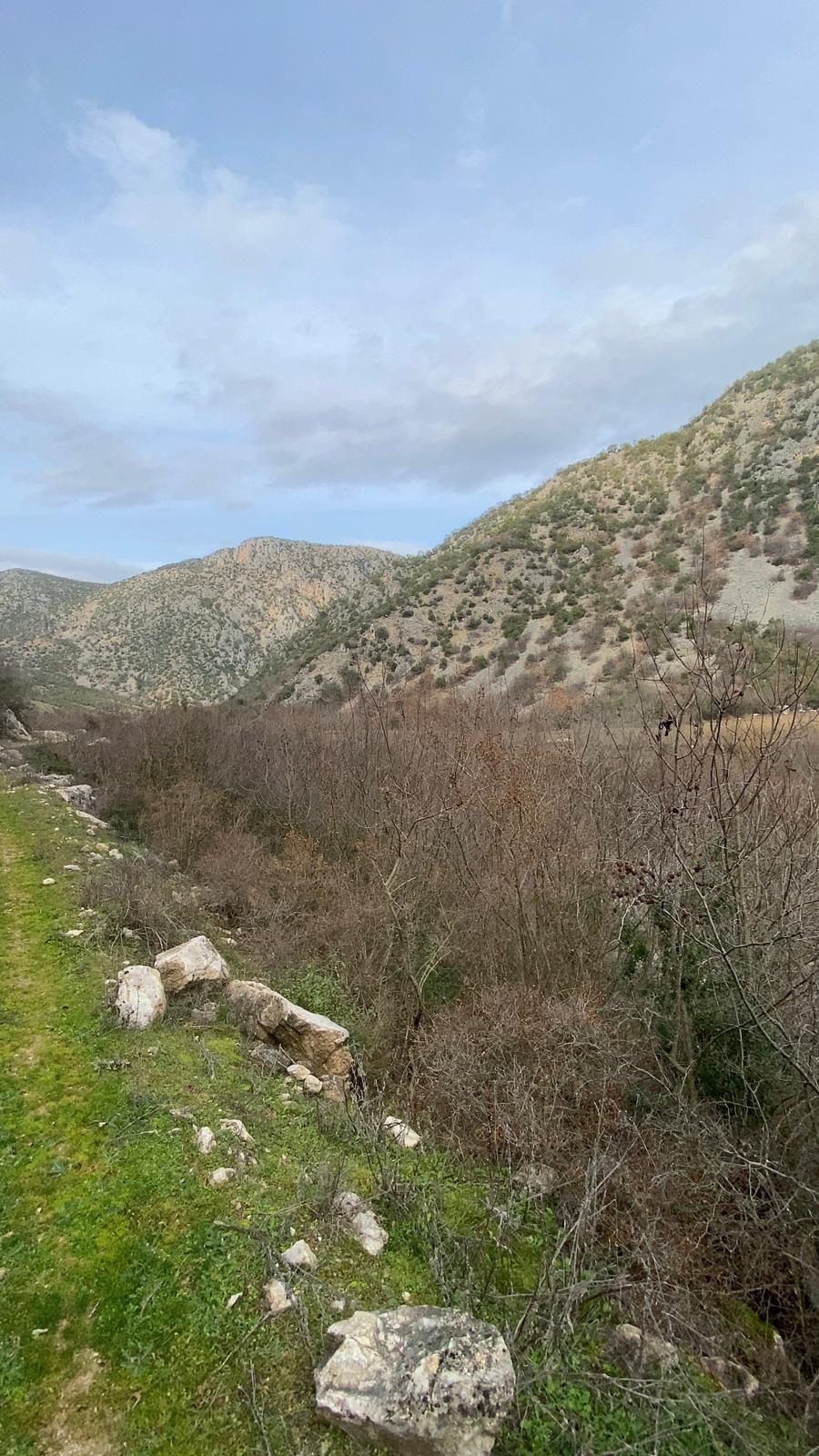 MABEL'DEN FIRSAT YATIRIMLIK DEV ARAZİ